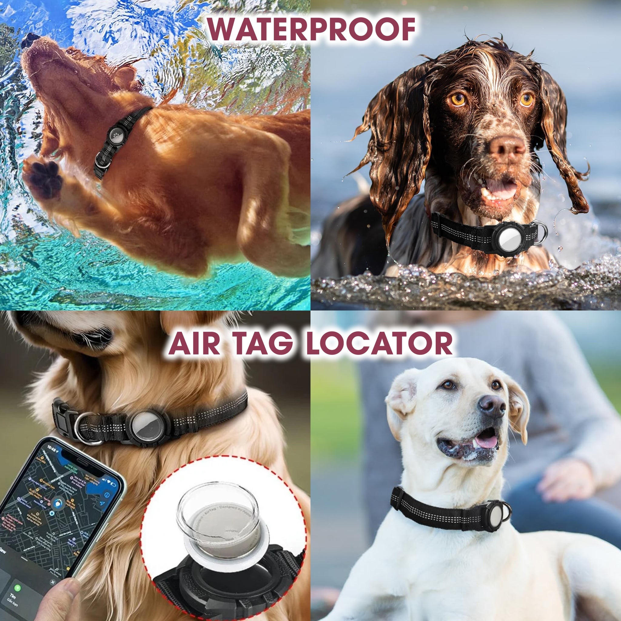 AirTag Dog Collar in Action