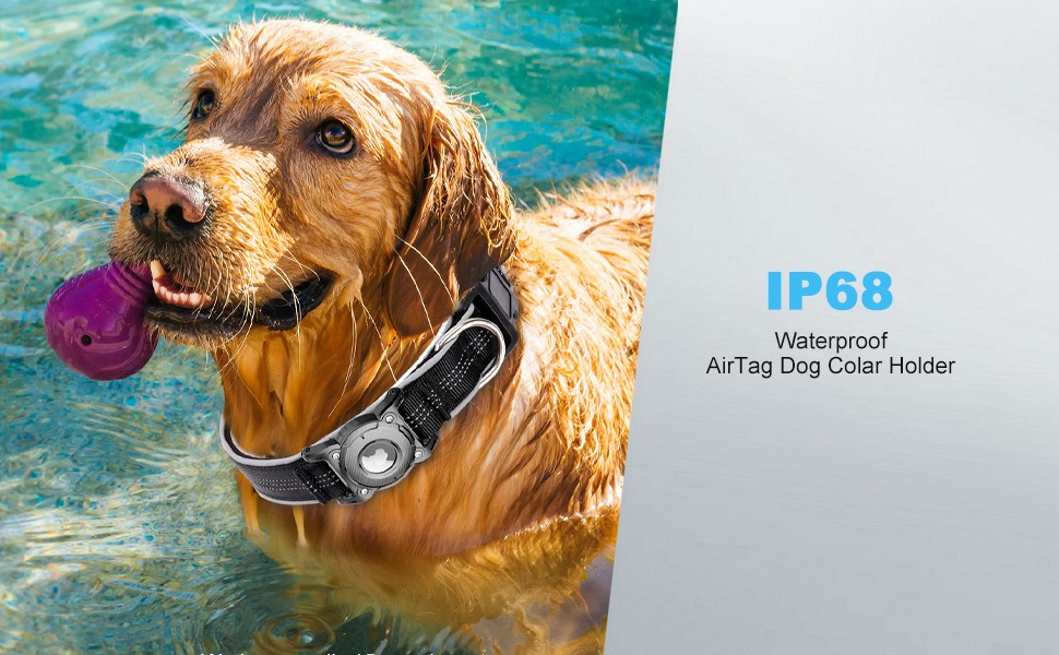AirTag Dog Collar Detail